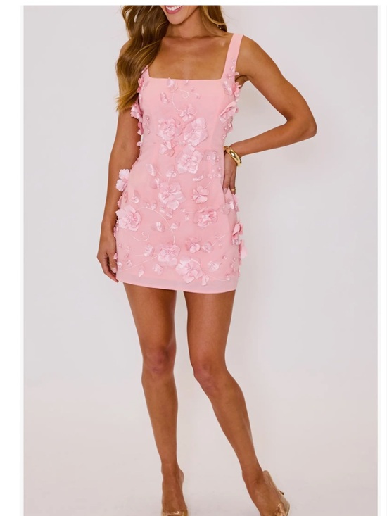 Vici Dresses & Skirts - NEW NEVER WORN! VICI COLLECTION Amber Floral Appliqué Minidress XS